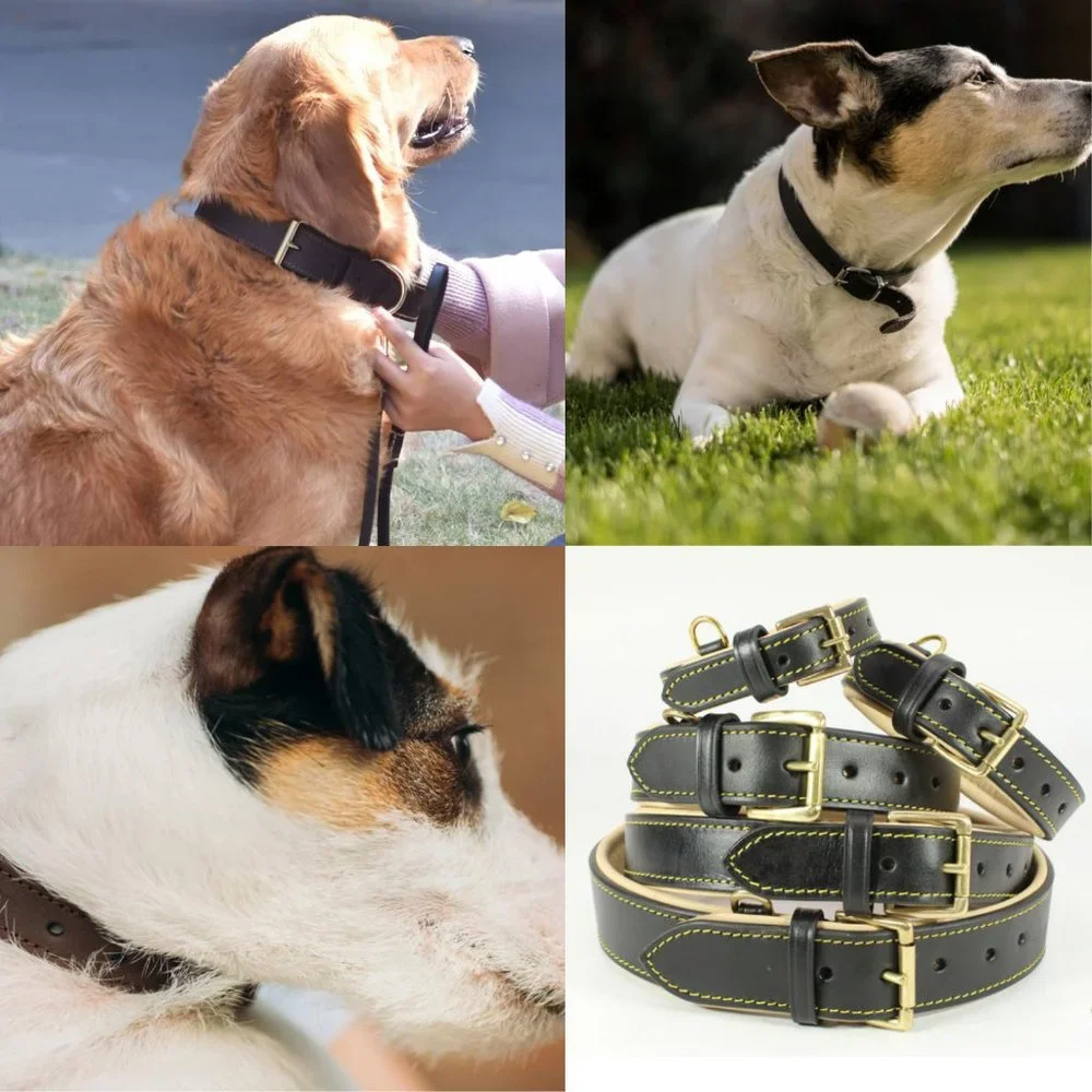 GENUINE LEATHER Dog Padded Black Collar